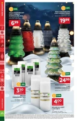 Gorące oferty na chłodne dni - Stokrotka