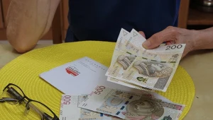 Tu mieszka najwięcej dłużników. Różnice regionalne zaskakują