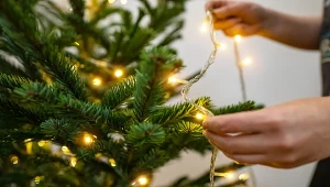 Tak naprawisz lampki choinkowe. Twoje drzewko zalśni nowym blaskiem