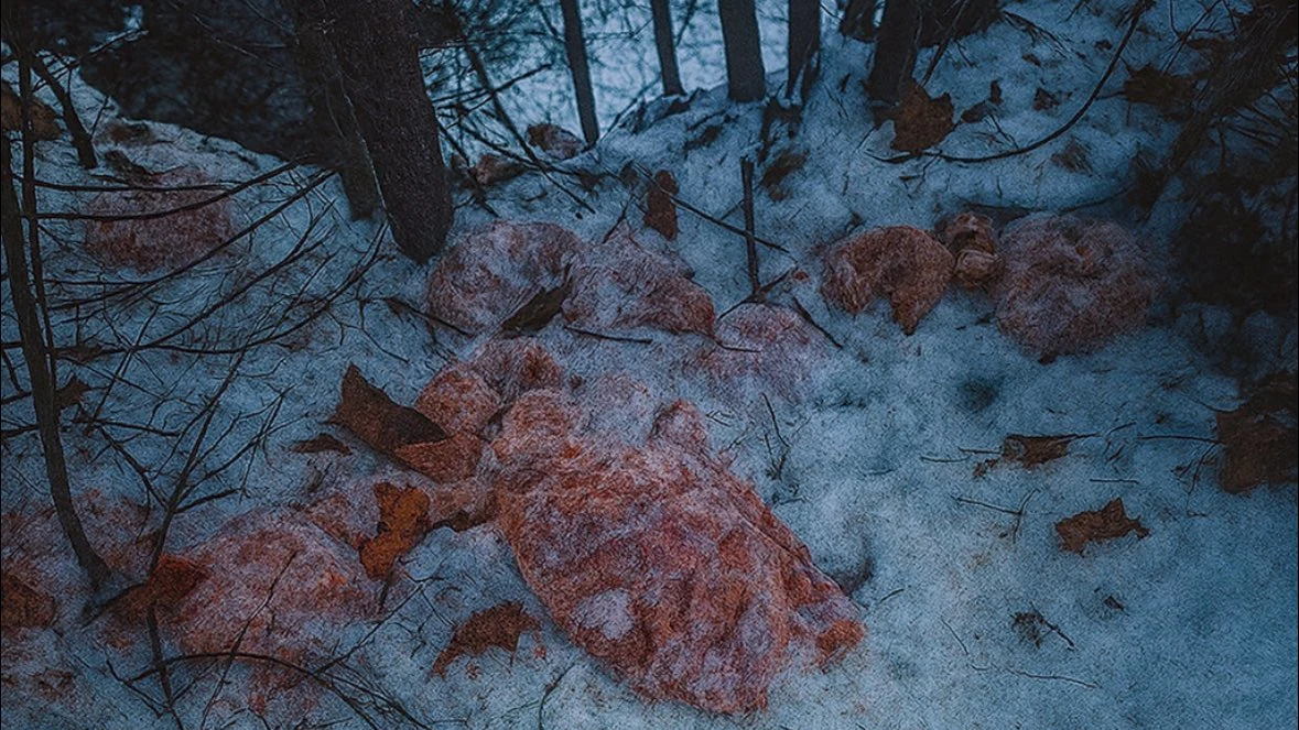 W Pieninach ktoś wyrzucił do lasu 130 kg mięsa Zbiór zniekształconych, różowawych form leży na śniegu pośród drzew iglastych i suchych liści. Miejsce wygląda na opuszczone i wzbudza uczucie niepokoju, zwłaszcza przy słabym, chłodnym oświetleniu.