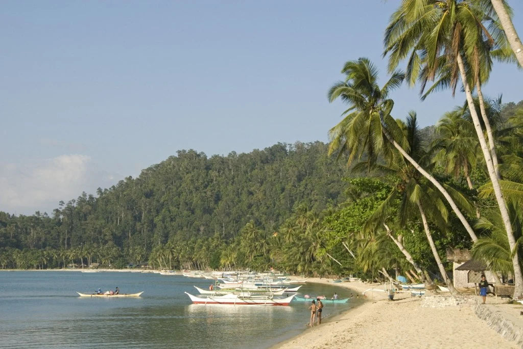 Filipiny. 32-letni Polak utonął podczas nurkowania w Port Barton article cover