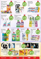 Kupuj tanio w polskim sklepie - Passa