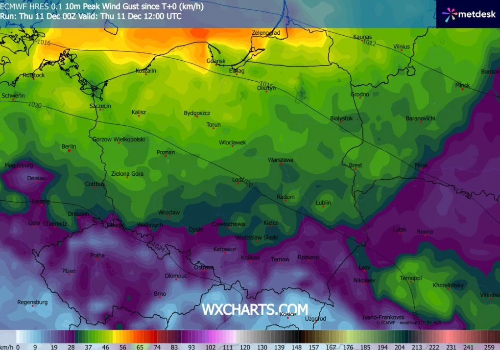 Kolorowa mapa Polski z zaznaczonymi nazwami miast ilustrująca prognozowane porywy wiatru na danym obszarze, oparta o model meteorologiczny ECMWF, z intensywnymi barwami wskazującymi siłę wiatru w różnych regionach kraju.