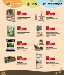 Grudzień zasypany promocjami - Kakadu Zoo