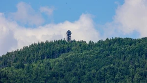 Najciekawszy szlak w Gorcach na wieżę widokową 