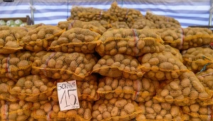 Polskie magazyny są ich pełne. A mimo to import z Niemiec kwitnie