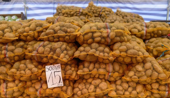 Rolnicy nie mogą sprzedać plonów. Rynek ziemniaka w kryzysie