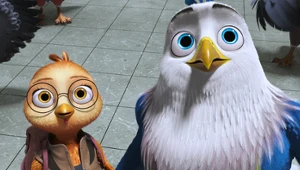 "Orzeł i reszta" [trailer]