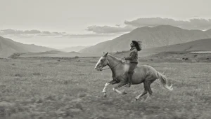 "Gaucho Gaucho" [trailer]