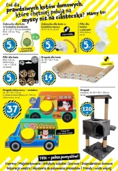 Odliczanie do Świąt trwa! - TEDi