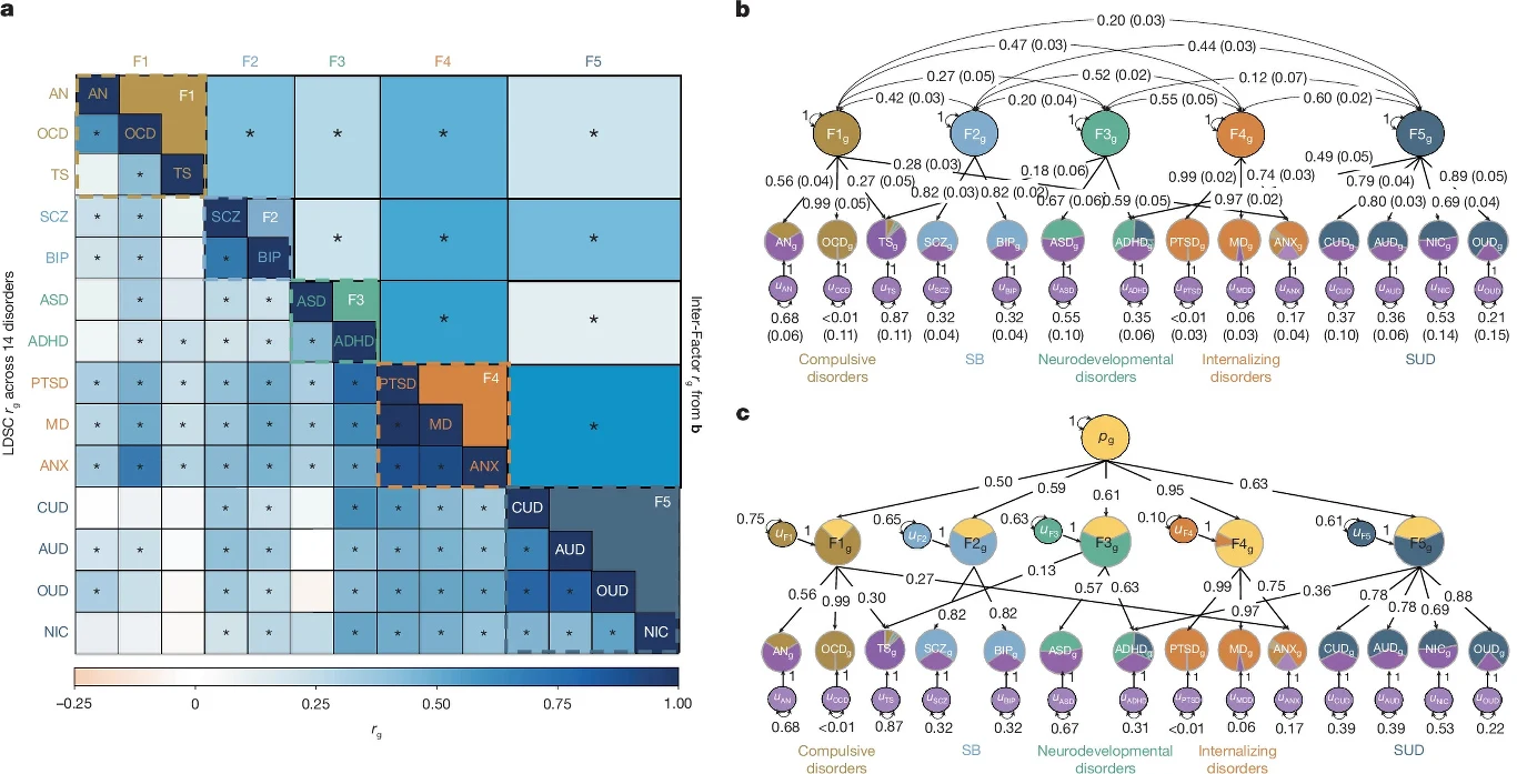 Naukowcy utworzyli 5 grup zaburzeń psychicznych, których uwarunkowania genetyczne nakładają się na siebie w wysokim stopniu Macierz korelacji oraz diagramy zależności prezentujące powiązania i siłę współwystępowania różnych zaburzeń psychicznych, podzielonych na grupy według wyodrębnionych czynników oraz poszczególnych kategorii diagnostycznych.