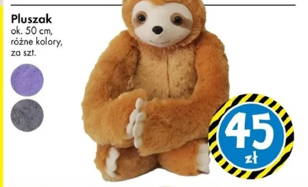 Pluszak Ok.