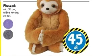 Pluszak Ok.