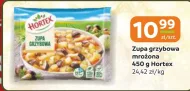 Zupa mrożona Hortex