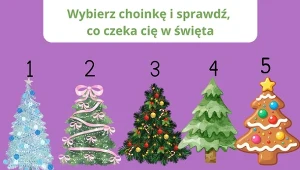 Psychotest: Jakie czekają cię święta? Wybór choinki zdradzi wszystko