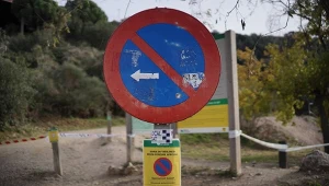 Po 30 latach do Hiszpanii wrócił afrykański pomór świń. Rolnicy obawiają się strat