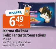 Karma dla kota Felix