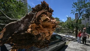 Milion domów bez prądu, odwołane setki lotów. Cyklon uderzył z pełną siłą