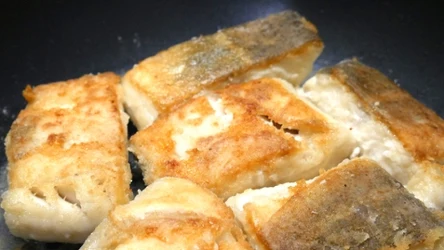 Sum jest zapomnianą, zdrowszą rybą od karpia. W dodatku nie ma ości. 