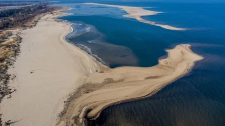 Cypel Mikoszewski jest przykładem tego, jak dynamiczna jest linia brzegowa Polski