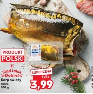 Karp K-Stąd Takie Dobre