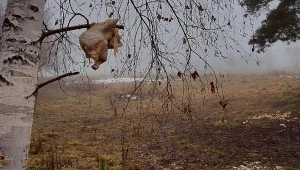 "To, co odkryliśmy, było szokujące". Pod Tatrami doszło do incydentu