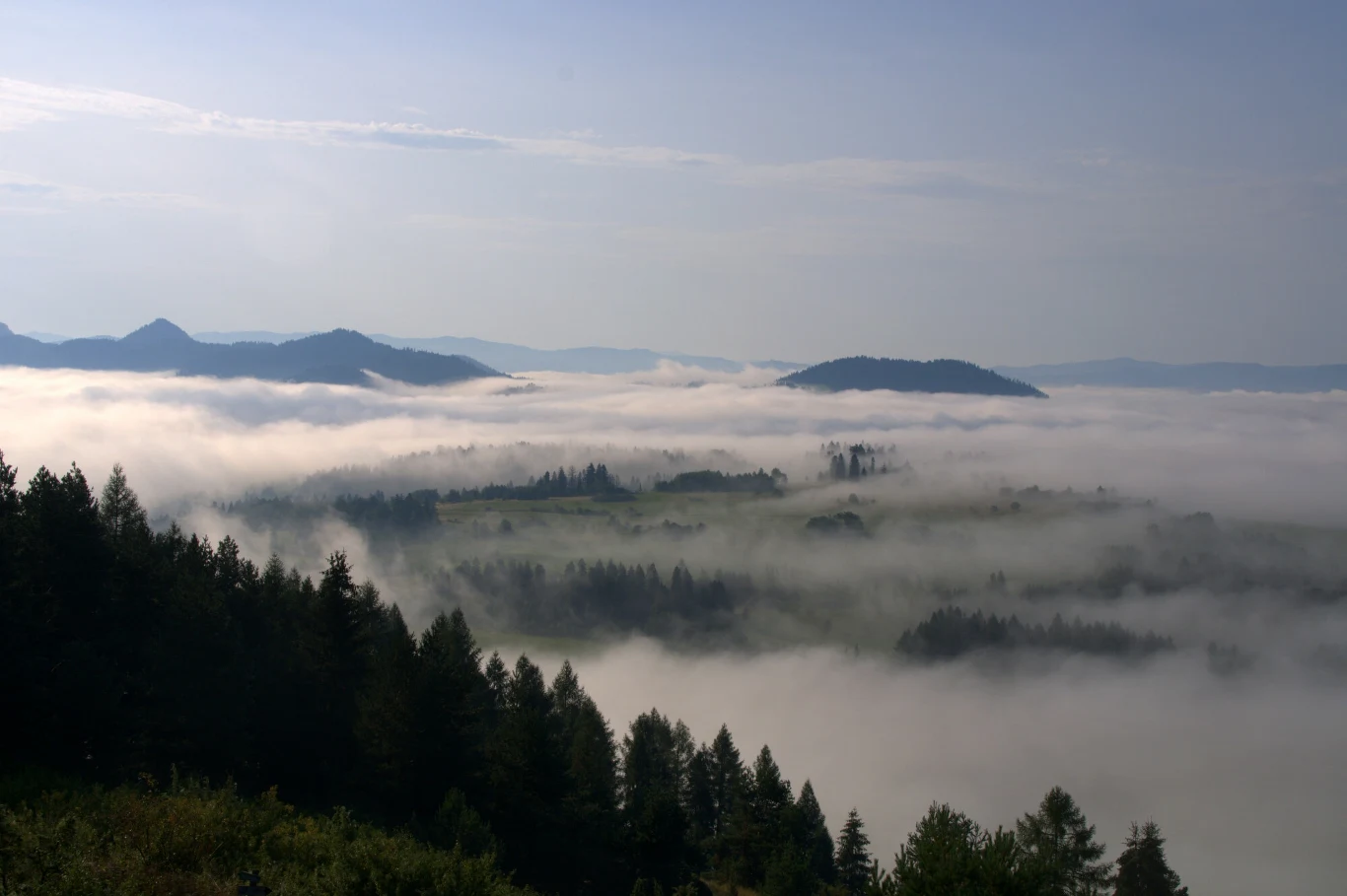 Mglista dolina otoczona ciemnozielonymi lasami iglastymi, nad którą unoszą się białe warstwy porannej mgły, w tle pasma łagodnych gór rozciągające się po horyzont pod delikatnie zachmurzonym niebem.