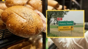 Dziwne nazwy miejscowości na Śląsku. Jak często chowa się Częstochowa?