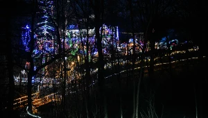 "Szczęśliwi lampek nie liczą". Szopka w Ptaszkowej i jej rodzinna historia