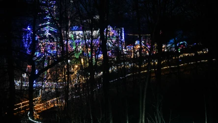 ​"Szczęśliwi lampek nie liczą". Szopka w Ptaszkowej i jej rodzinna historia