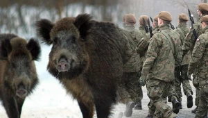 Niepokojące znalezisko w Łódzkiem. Do poszukiwań wysłano żołnierzy