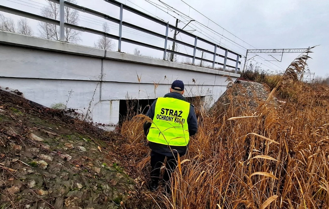 Funkcjonariusze SOK zatrzymali dwóch mężczyzn w Chełmie (woj. lubelskie) Pracownik Straży Ochrony Kolei w jaskrawej kamizelce patroluje okolice porośniętej trawą i trzciną skarpy pod betonowym mostem kolejowym w zimowym krajobrazie.
