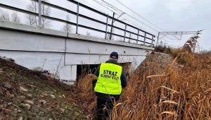 Incydent przy torach kolejowych. Wpadli przez fotopułapkę