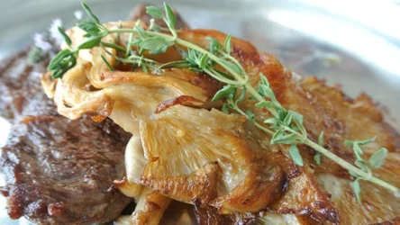 Te grzyby zawierają dużą dawkę beta-glukanów, które wspierają odporność.