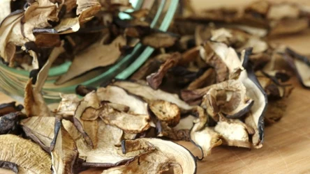 Jak długo gotować grzyby, by nie straciły aromatu?