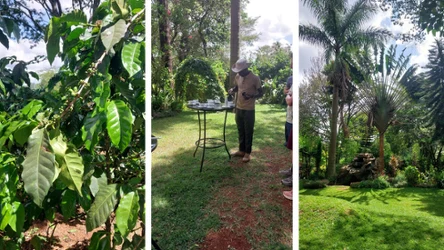 Ceny kawy w ostatnich miesiącach drastycznie rosną. Kryzys w branży