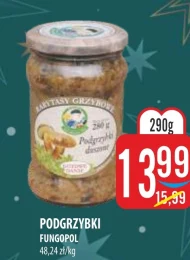 Podgrzybki Fungopol