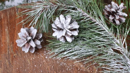 W prosty sposób stworzysz zimowy klimat w swoim domu. Wystarczą dwa składniki