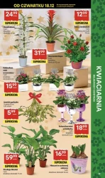 Świąteczne smakołyki - Delikatesy Centrum