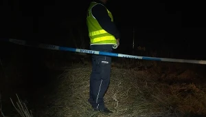 Tragedia w Jeleniej Górze. Nowe informacje ws. 11-letniej dziewczynki