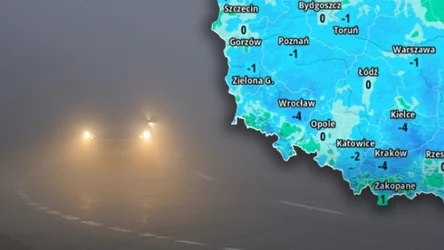 Kierowcy i piesi muszą uważać na gęste mgły od samego rana. Miejscami nie widać dalej niż na 100 metrów