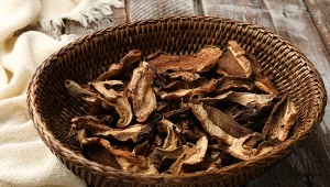 Na co zwrócić uwagę, kupując grzyby?