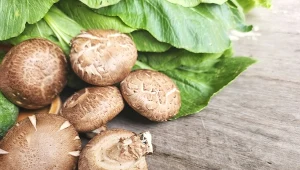 W Japonii są cenione od lat. Mogą pomóc z częstą przypadłością Polaków