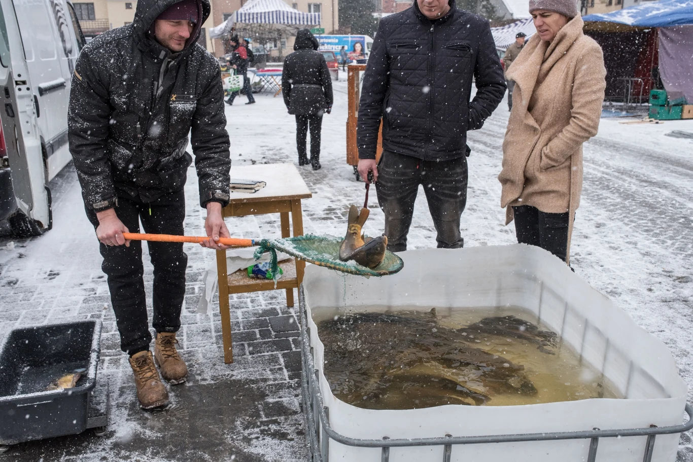 Warunki sprzedaży karpia mogą mieć wpływ na mulisty smak mięsa Trzech dorosłych ludzi stoi przy dużym zbiorniku z wodą na otwartym targowisku zimą, jeden z nich wyławia żywe karpie za pomocą siatki, w tle widać inne stoiska oraz budynki, pada śnieg.