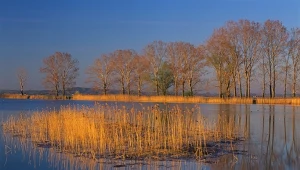 Afera o "renaturyzację" polskiej rzeki. Zareagował resort klimatu