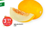 Melon