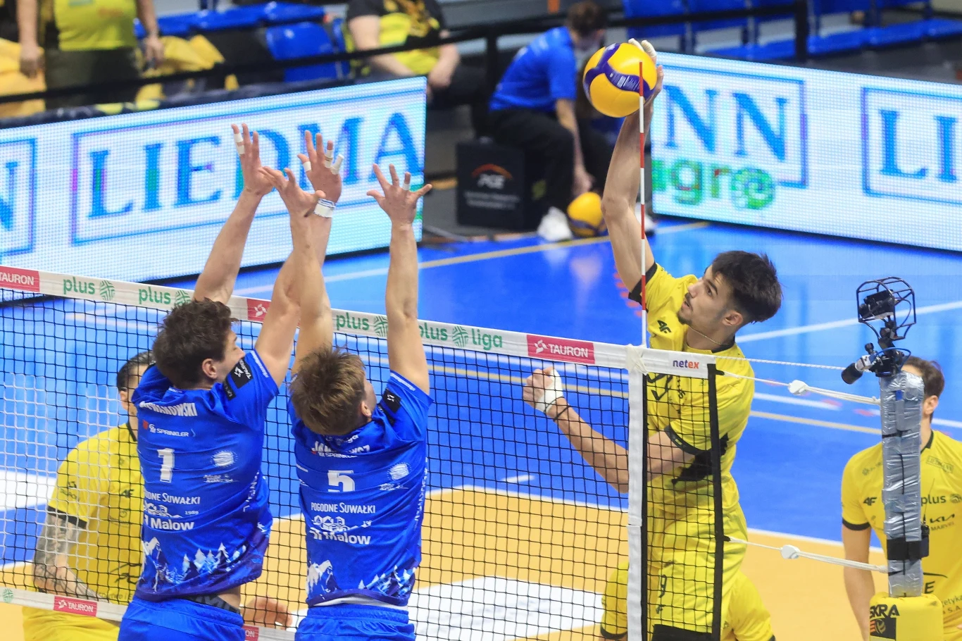 Dwóch zawodników w niebieskich strojach próbuje zablokować atakującego w żółtym stroju, który smeczuje piłkę przy siatce podczas meczu siatkówki. W tle widoczni pozostali gracze i trybuny.