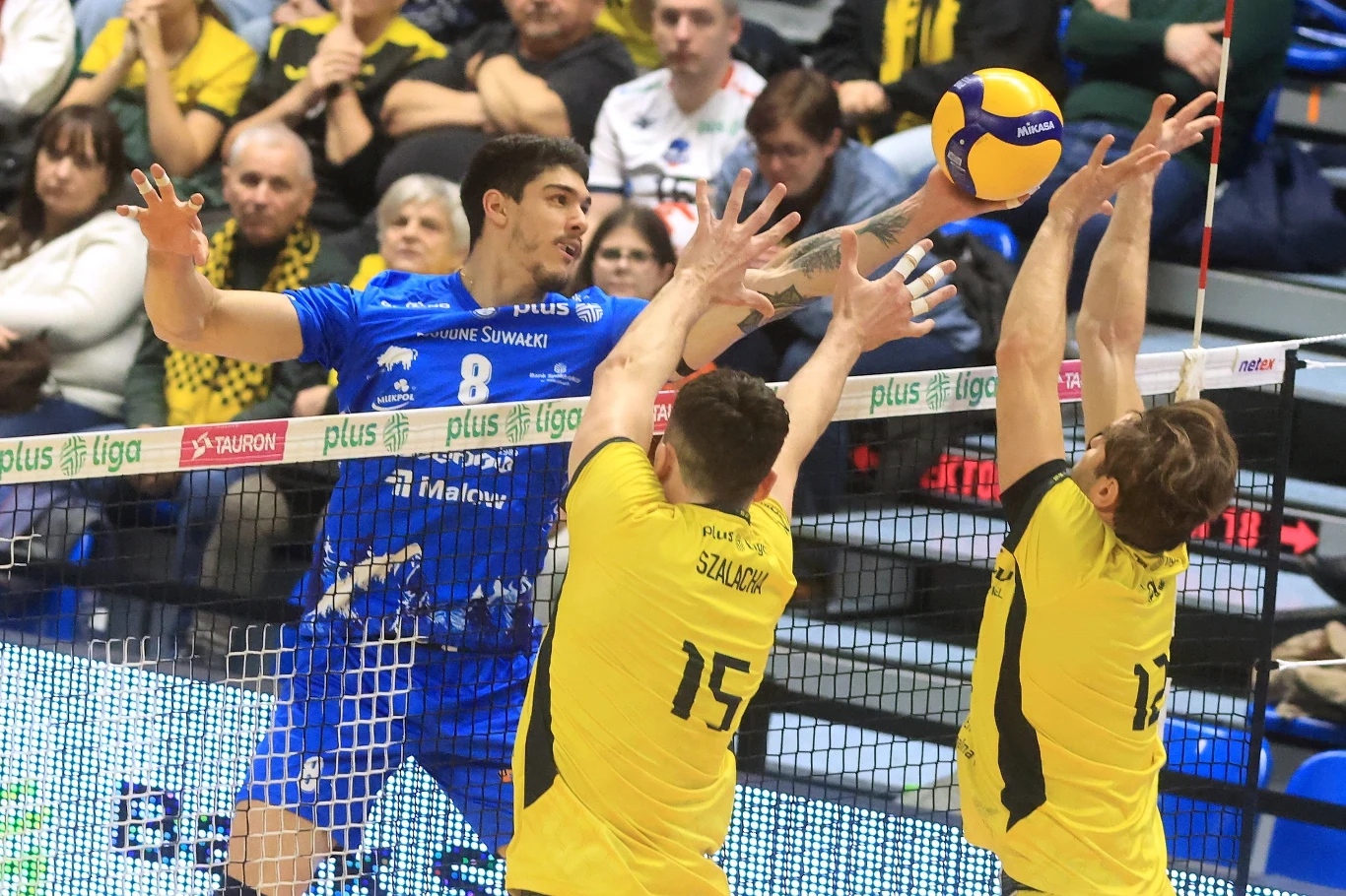 Dwóch siatkarzy w żółtych strojach skacze do bloku przy siatce, próbując zatrzymać atak zawodnika w niebieskim stroju. W tle widać kibiców śledzących akcję sportową.