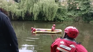 Sprawa zaginionej Polki. Przełom po 19 latach, brytyjska policja potwierdza
