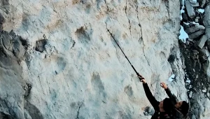 To ogromne skupisko skamieniałych tropów dinozaurów (za Museostorianaturale Milano/ Facebook) 